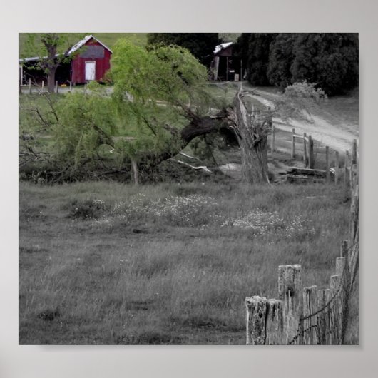 Leven na ramp poster (Voorkant)