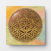 Leven- / onbeschaamde blikvangers - goud in het ba fotoplaat (Voorkant)