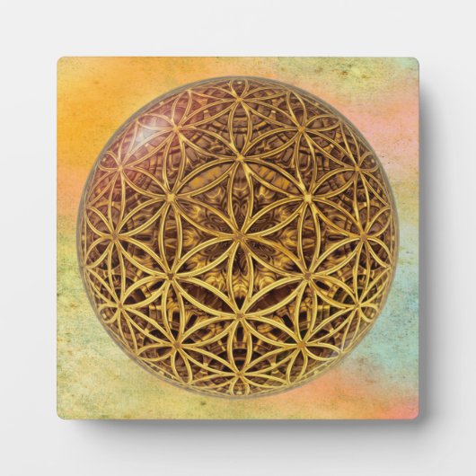 Leven- / onbeschaamde blikvangers - goud in het ba fotoplaat (Voorkant)