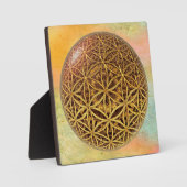 Leven- / onbeschaamde blikvangers - goud in het ba fotoplaat (Voorkant)