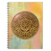 Leven- / onbeschaamde blikvangers - goud in het ba notitieboek (Voorkant)