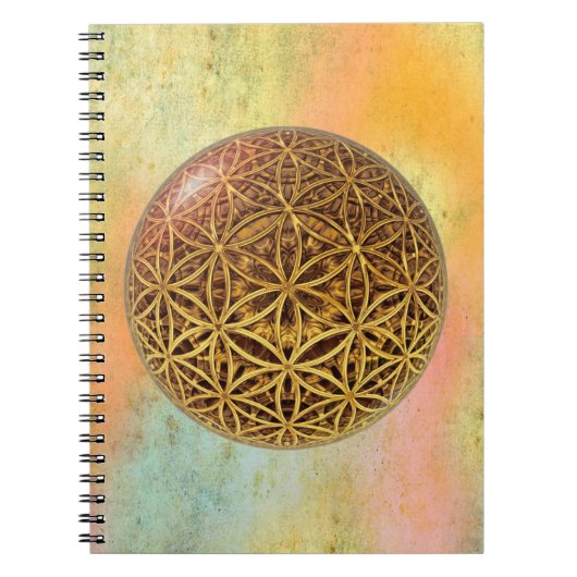 Leven- / onbeschaamde blikvangers - goud in het ba notitieboek (Voorkant)