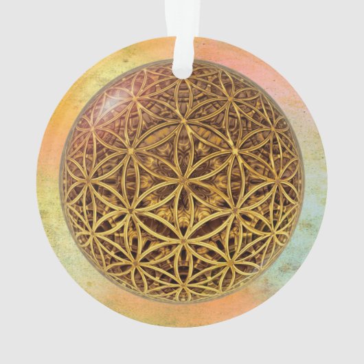 Leven- / onbeschaamde blikvangers - goud in het ba ornament (achterkant)