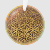 Leven- / onbeschaamde blikvangers - goud in het ba ornament (voorkant)