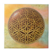 Leven- / onbeschaamde blikvangers - goud in het ba tegeltje (Voorkant)