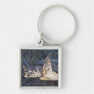 Leven onder water: A Hawksbill Zee Turtle 2 Sleutelhanger