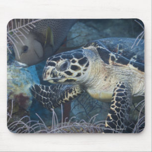 Leven onder water: A Hawksbill Zee Turtle Muismat