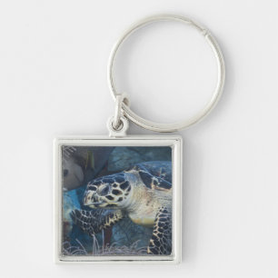 Leven onder water: A Hawksbill Zee Turtle Sleutelhanger