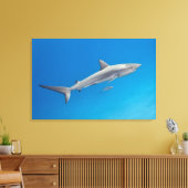 Leven onder water: Carcharhinus perezi zwemt in Canvas Afdruk (Insitu (Woonkamer))