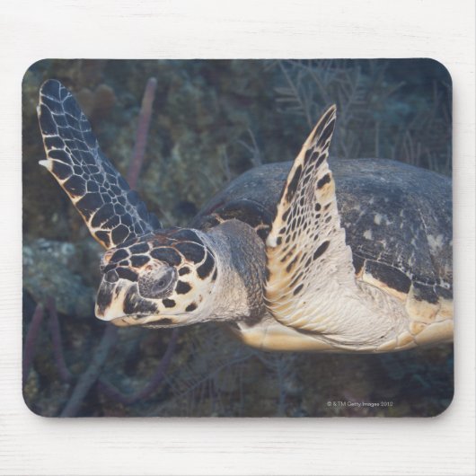 Leven onder water: Een Hawksbill Zee Turtle 2 Muismat (Voorkant)