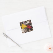 Leven onder water; FISH: Gele tang (Zebrasoma) Vierkante Sticker (Envelop)