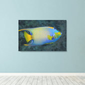 Leven onder water; FISH: Queen Angelfish Canvas Afdruk (Insitu (Houten vloer))