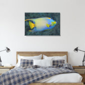 Leven onder water; FISH: Queen Angelfish Canvas Afdruk (Insitu (Slaapkamer))