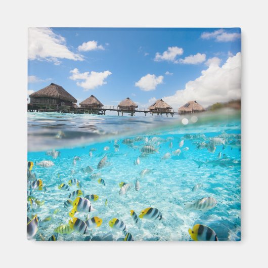 Leven onder water magneet (Voorkant)