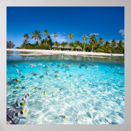 Leven onder water poster (Voorkant)