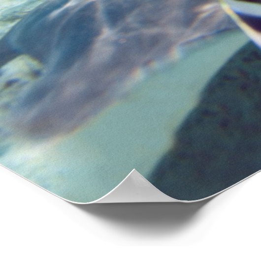 Leven onder water poster (Hoek)