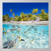 Leven onder water poster (Voorkant)