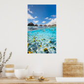 Leven onder water poster (Keuken)