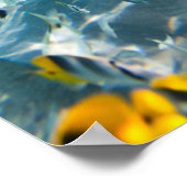 Leven onder water poster (Hoek)