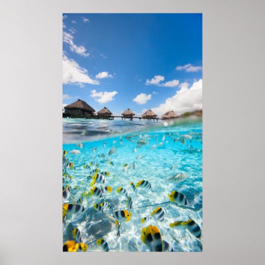 Leven onder water poster (Voorkant)