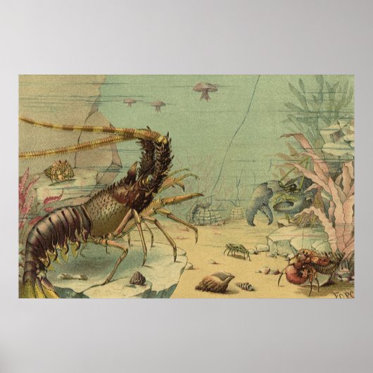  leven onder water van Zee, dieren in de oceaan Poster (Voorkant)