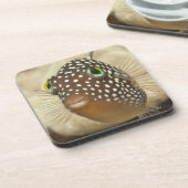 leven onder water; VIS:  Afsluitend portret van ee Bier Onderzetter (Linkerzijde)