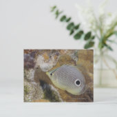 Leven onder water, VIS: een Foureye Butterflyfish Briefkaart (Staand voorkant)