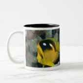 Leven onder water; VIS:  Een paar Fourspot Tweekleurige Koffiemok (Links)