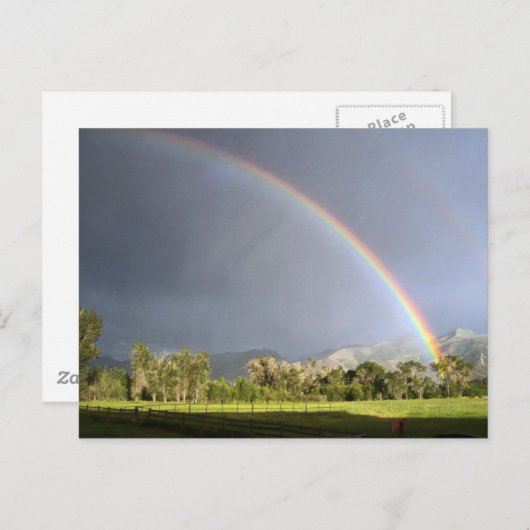 Leven op Blackman Ranch Briefkaart (Voorkant / Achterkant)