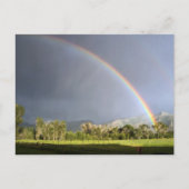 Leven op Blackman Ranch Briefkaart (Voorkant)