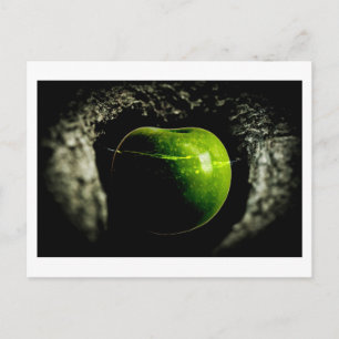 leven op de appel briefkaart