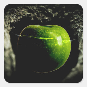 leven op de appel vierkante sticker