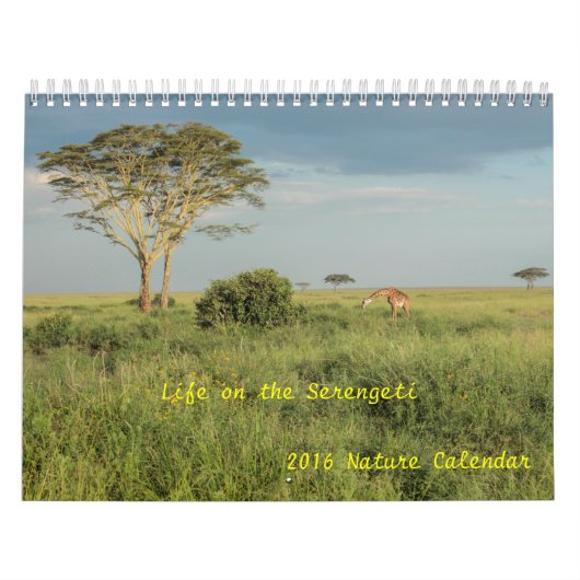 Leven op de kalender van Serengeti 2016 in het wil (Hoes)