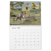 Leven op de kalender van Serengeti 2016 in het wil (Jan 2027)