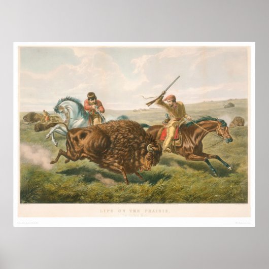 Leven op de Prairie: De Buffalo Hunt (0878A) Poster (Voorkant)