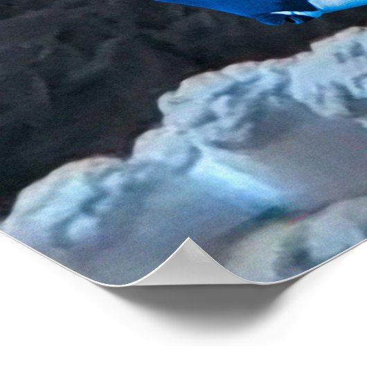 Leven op het Koraalrif - Corale Bleking Poster (Hoek)