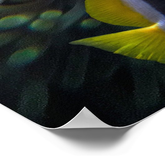 Leven op het koraalrif - verlicht landschap poster (Hoek)