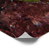 Leven op koraalrif - Roze viskoraal en vis Poster (Hoek)