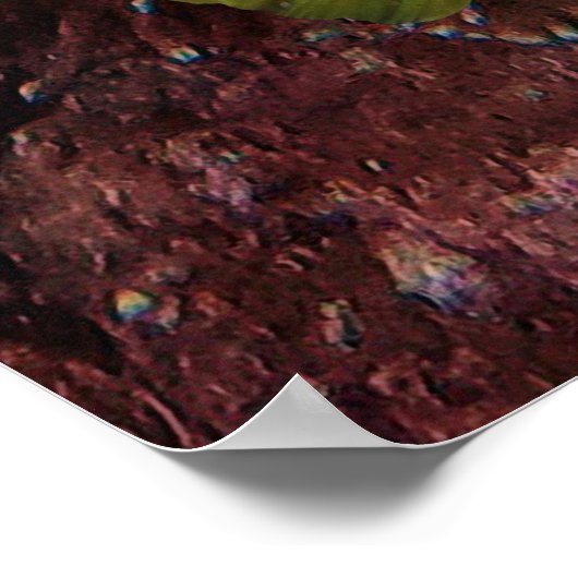 Leven op koraalrif - Roze viskoraal en vis Poster (Hoek)