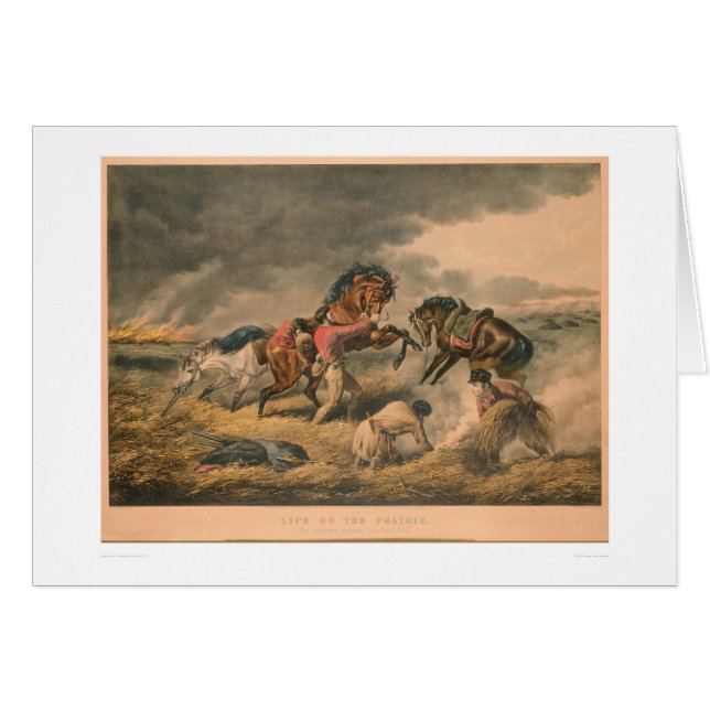 Leven op Prairie: Defensie van Trapper (0879A) (Voorkant Horizontaal)