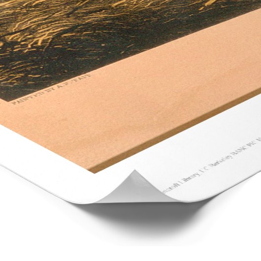 Leven op Prairie: Trapper's Defence (0879A) Poster (Hoek)