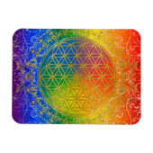 Leven - Ornament Regenbooggoud Magneet (Horizontaal)