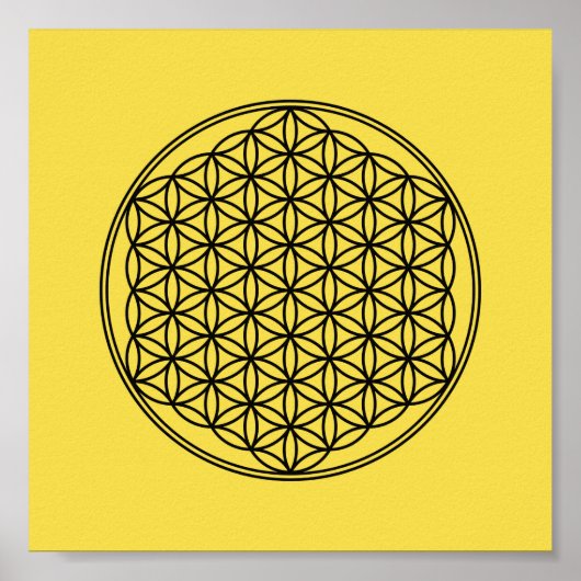 Leven - patroon poster (Voorkant)
