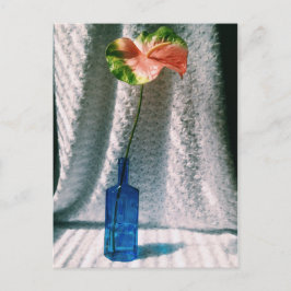 leven van anthurium en blauwe flessen briefkaart