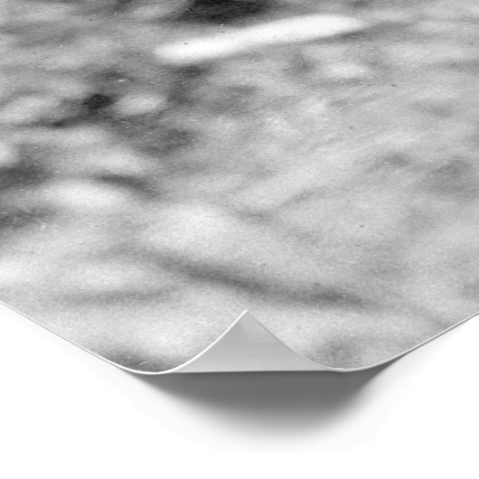 Leven van de grond, 1904 poster (Hoek)