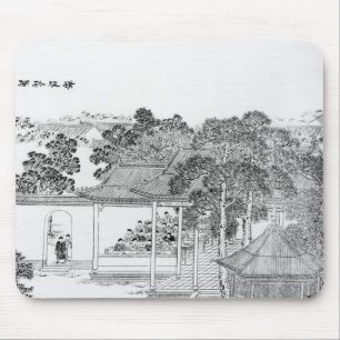 Leven van een Mandarijns Muismat