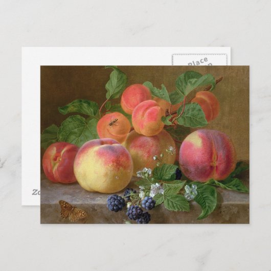 Leven van perziken briefkaart (Voorkant / Achterkant)