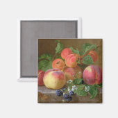 Leven van perziken magneet (Voorkant / Achterkant)