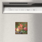 Leven van perziken magneet (Insitu (Vaatwasser))