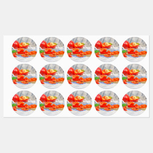 Leven van zoete peper labels